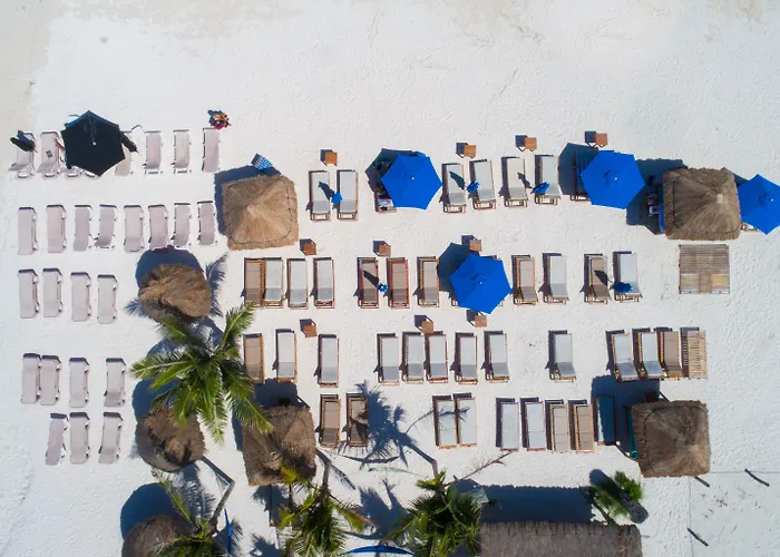 Ojo De Agua Puerto Morelos