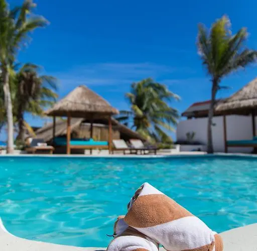 Ojo De Agua 3* Puerto Morelos